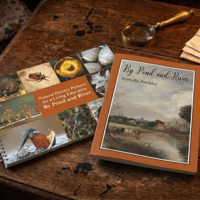 By Pond and River Bundle