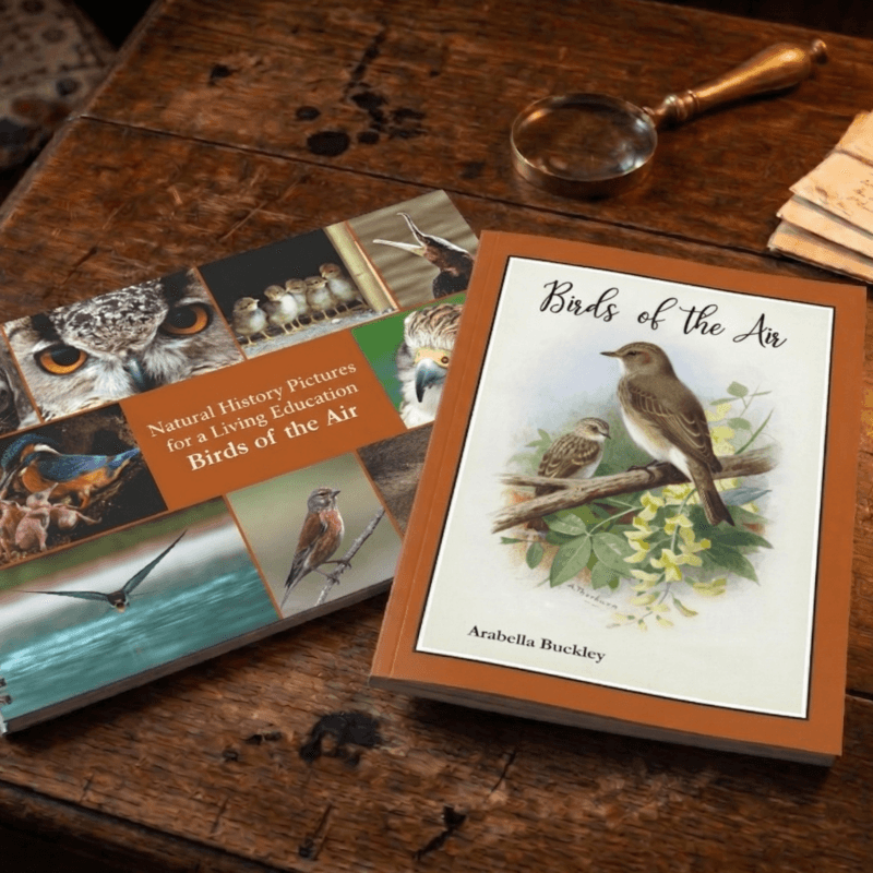 Birds of the Air Bundle