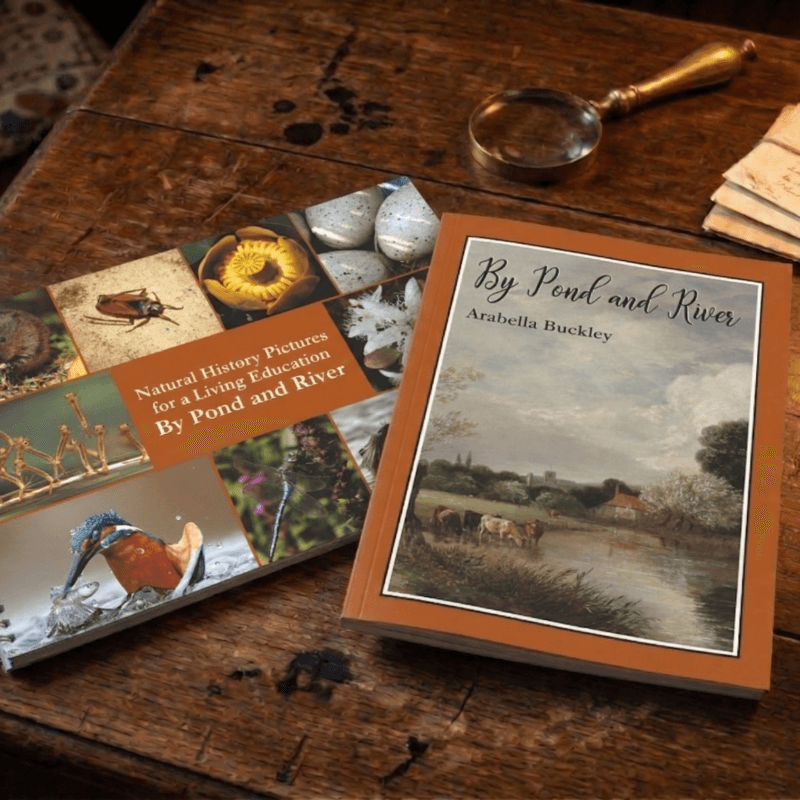 By Pond and River Bundle