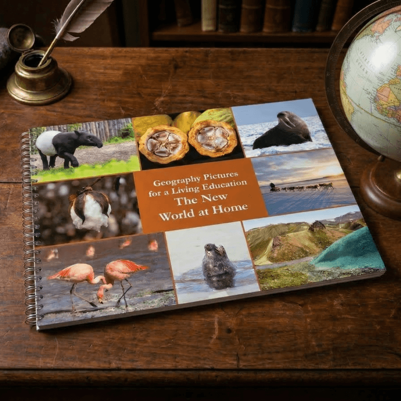 The New World at Home (Geography Pictures for a Living Education)