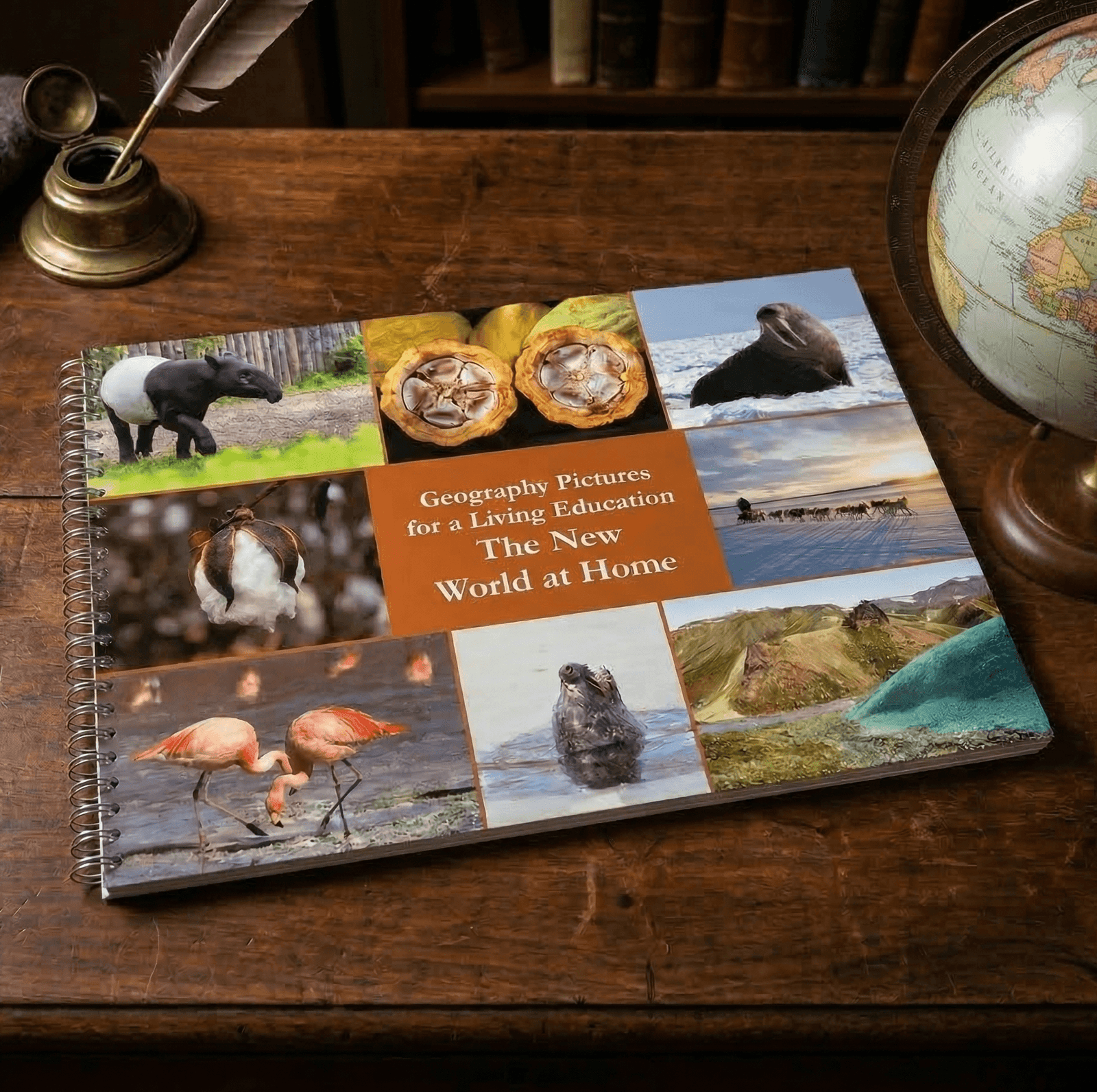 The New World at Home Bundle - Image 3