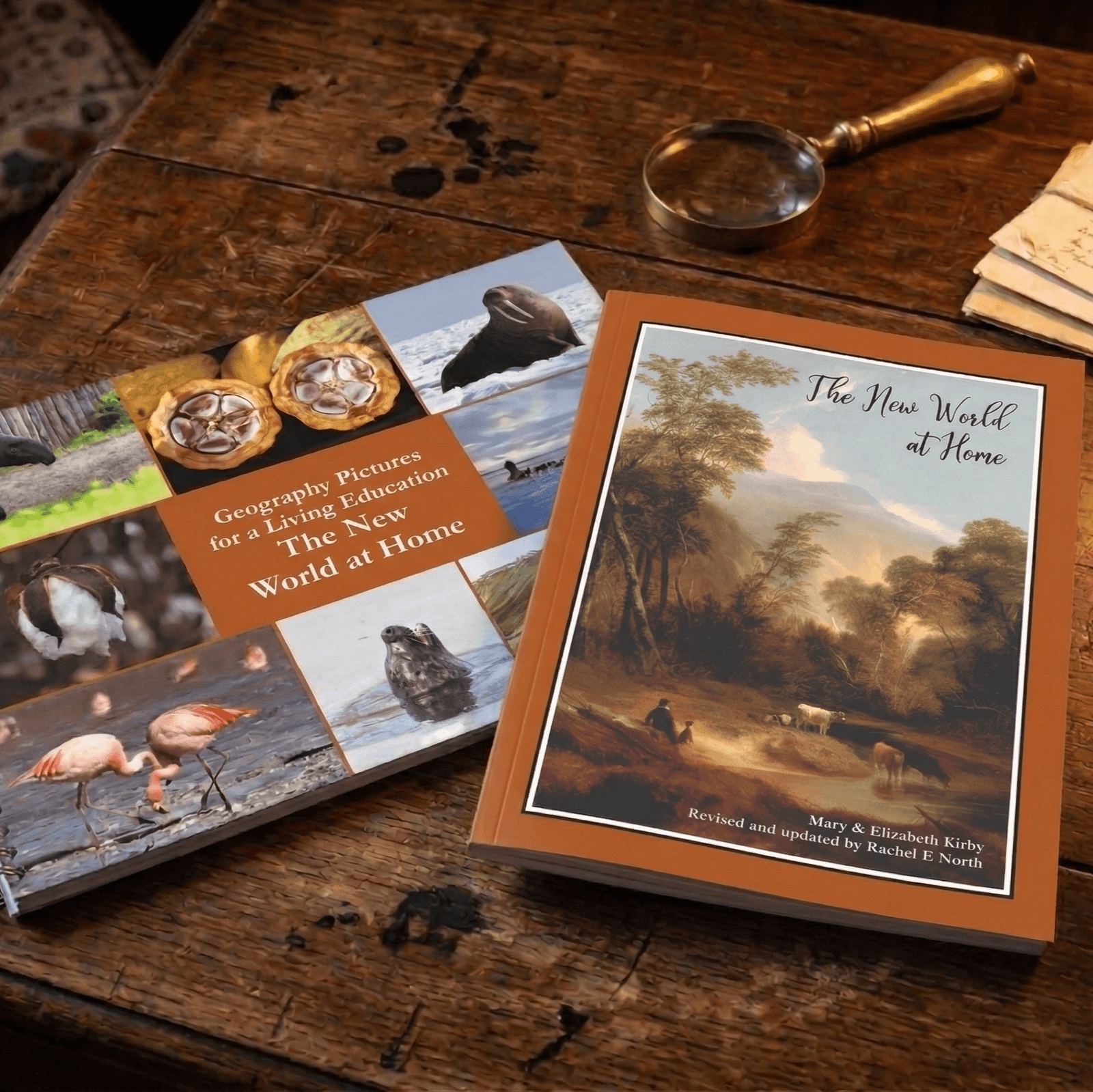 The New World at Home Bundle