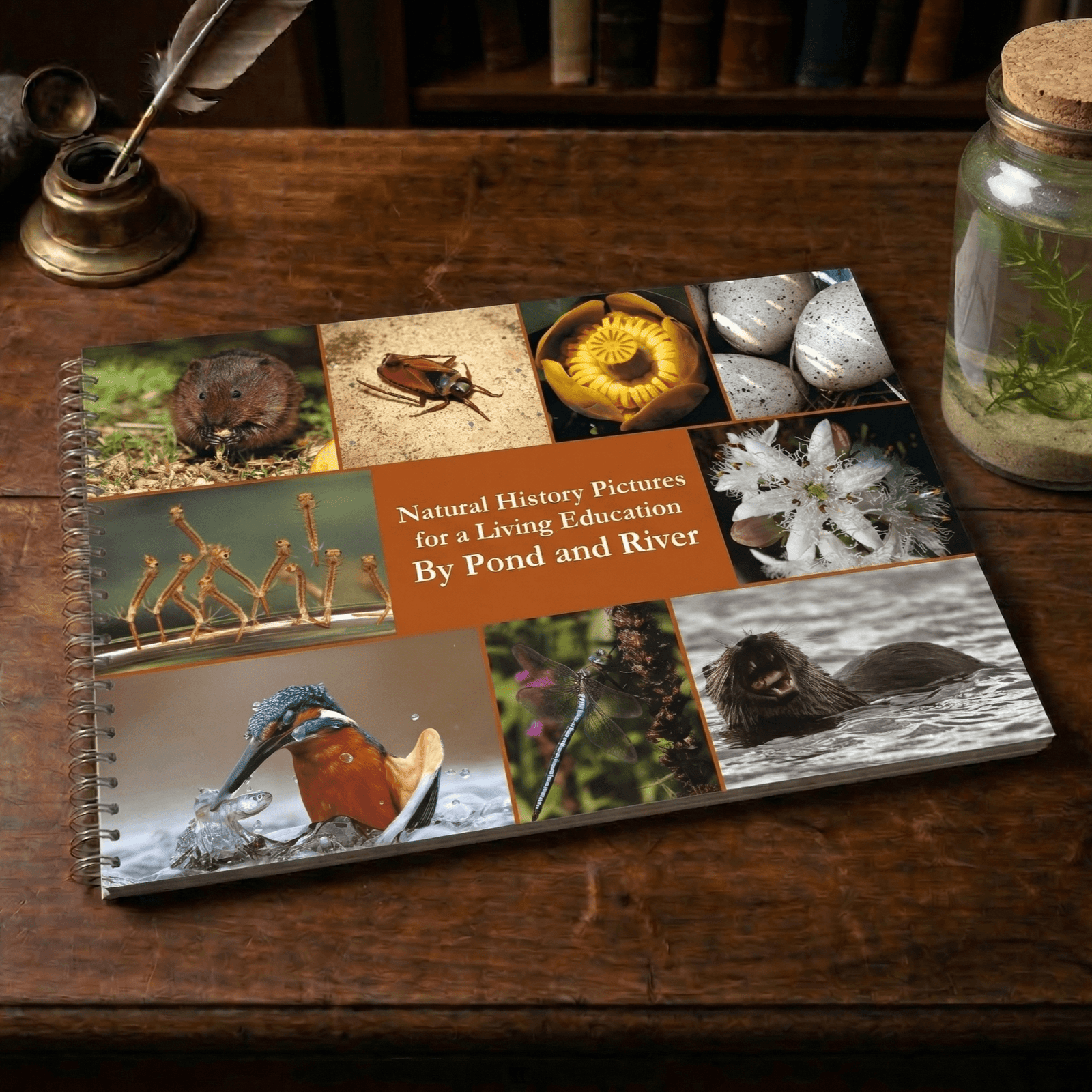 By Pond and River (Natural History Pictures for a Living Education)