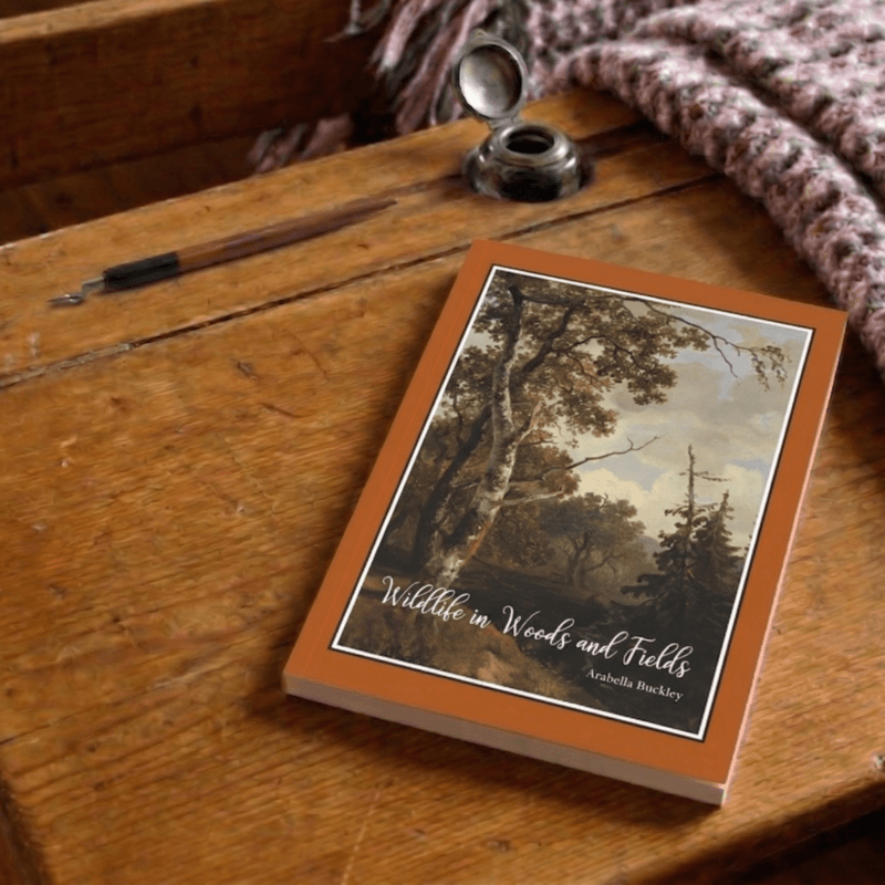 Wildlife in Woods and Fields - Print